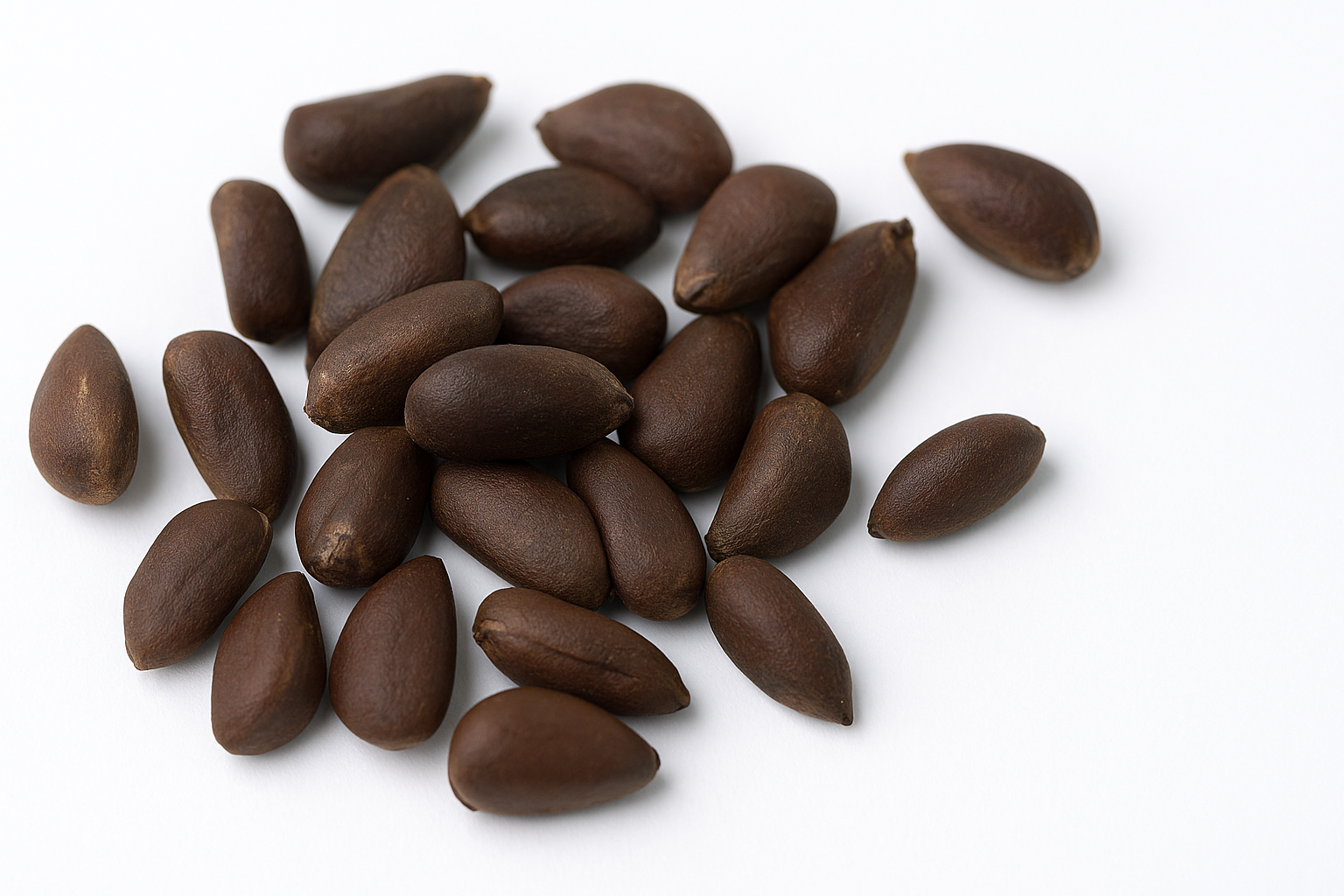 Cotton Seeds